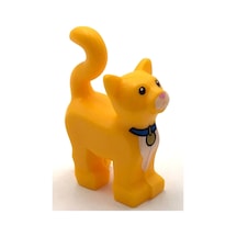 Orjinal Hayvanlar, Mavi Tasmalı Sarı Kedi, Animal, Yellow Cat