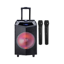 Oyılıty Dk-12 300 Watt Taşınabilir Mikrofonlu Bluetooh Hoparlor