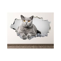 Sevimli Kedicikler Full Hd Baskı 3d Çocuk Odası Duvar Sticker
