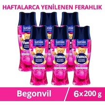 6'lı Set