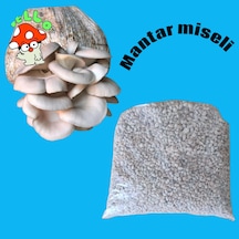 3 Kg İstiridye Mantarı Tohumu Ekim Poşeti, Kireç, Alçı, Buğday Kepeği-full Paket 1 adet