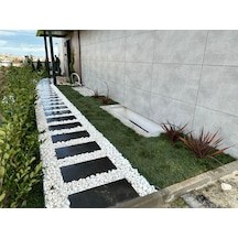 Bahçe Adım Taşı 30 60 Cm Plak Taş