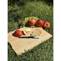 Solingen Ebruli Siyah Tırtıklı Meyve Bıçağı 18,5 Cm, Paslanmaz Alman Çeliği, Ergonomik Sap Tekli -133 siyah Solingen Ebruli Siyah Tırtıklı Meyve Bıçağı 18,5 Cm, Paslanmaz Alman Çeliği, Ergonomik Sap Tekli -133 siyah