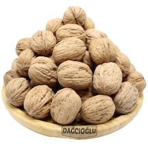 Dağcıoğlu Kabuklu Ceviz 500 G