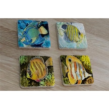 Renkli Balıklar Doğal Taş Bardak Altlığı 4'lü Set - Natural Stone Coasters - Taş Çok Renkli