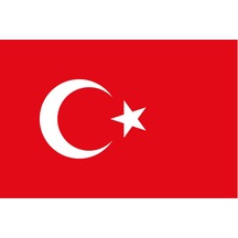 Türkiye Ülke Bayrağı 45x30cm Duvar Tablosu Çerçevesiz Pvc Tablo