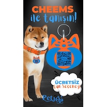 Petjoo 18.Cheems Mavi-Turuncu Qr'lı Köpek Künyesi