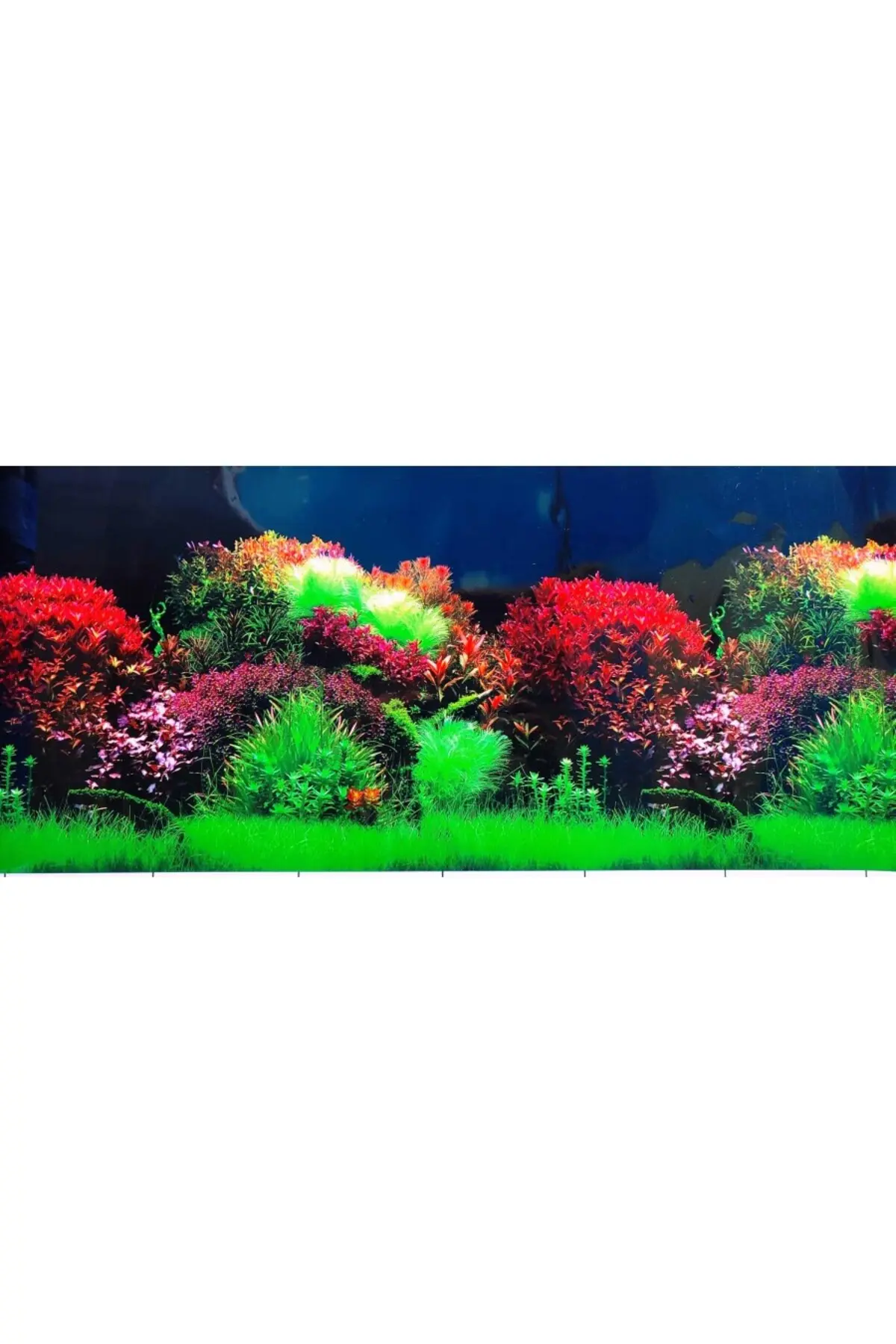 Arka Fon No 8007 Kırmızı Cazibe 50 Cm Uzunluk 50 Cm Yükseklik