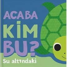 Acaba Kim Bu / Su Altındaki / Luke Robertson