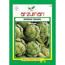 Arzuman Enginar Tohumu 20 Adet