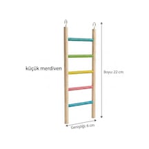Küçük Merdiven Kuş Oyuncağı