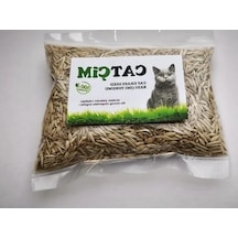 Doğal Kedi Çimi Tohumu Karışımı, 250 Gram, İlaçsız Ve Sağlıklı