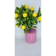 Yapay Limon Ağacı Pembe Çatlatma