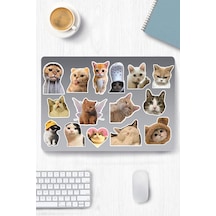 Kedi Temalı Sticker Telefon Laptop Notebook Tablet Defter Matara Stiker Etiket 1