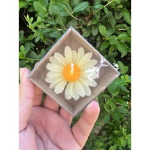 Bernami Mum Pinterest 15 Adet Kraft Kutulu Papatya Mum Hediyelik, Nişan, Düğün, Sünnet, Söz, Kına, Doğum Günü Diğer
