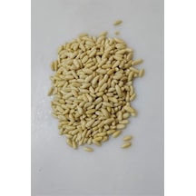 Aktarcınız Dolmalık Çam Fıstığı 1 KG