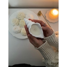 Bernami Vazo Pinterest Deniz Kabuğu Istiridye Mum Diğer