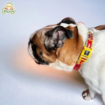 Köpek Boyun Tasması Geri Dönüştürülmüş, Ayarlanabilir, Emniyet Tokalı Küçük Ve Büyük Irklar İçin Tüy Toplamaz, Yıkanabilir, Airtag & İsimlik Uyumlu, Sarı,small Çok Renkli