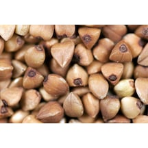 Kara Buğday Tohumu 100 GRam Tohum + Spriz Tohum