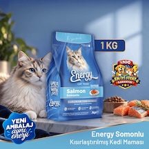 Energy Kedi Maması 1 Kg Somonlu Kısırlaştırılmış 8'li Paket