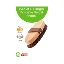 At Kılı Doğal Masaj Ve Selülit Fırçası Boy 15 Cm En 6 Cm Kıl Uzunluğu 2 Cm Karışık
