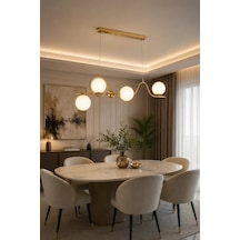 Modern Premium Gold 5'li Opal Küre Sarkıt Avize Dekoratif Lüks Salon Oturma Odası Avizesi 5xe14 Beyaz