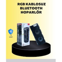Vexor Kompakt Ve Şık Tasarımlı Taşınabilir Hoparlör