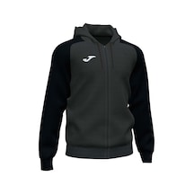 Joma Erkek Eşofman Üstü Academy Iv Zip-up Hoodie 101967.151 001