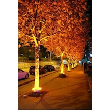 Palmiye Çember Aydınlatma Ip67 65cm