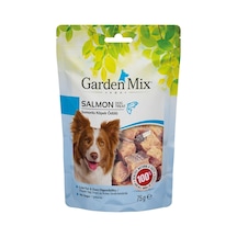 Garden Mıx Somonlu Köpek Ödülü 75 G