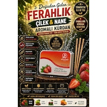Mucize Çilek-nane Aromalı Kürdan Metal Kutu