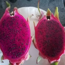 Ejder Meyvesi 2 Kg 100 Gr Ve Üzeri