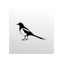 Folyo Sticker Muhabbet Kuşu 50cm Uzunluk Siyah
