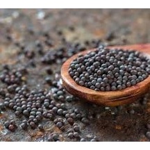 As Baharat Hardal Tohumu 1 Kg 1. Kalite
