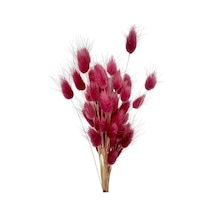 Kuru Çiçek Doğal Bordo Açık Pamuk Otu 10gram 1. Kalite Şoklanmış Bozulmaz