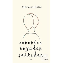 Sokaktan Kuyudan Şarkıdan - Meryem Kılıç - Şule Yayınları