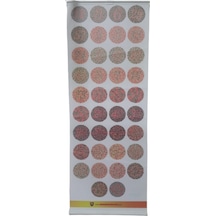 Renk Körlüğü Test Skalası Vinleks Malzeme 75 x 30 CM