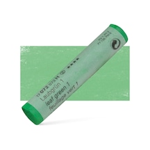 Schmincke : Artist Soft Pastel Boya : 072 H Leaf Green 1