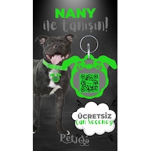 Petjoo 17.Nany Gri-Yeşil Qr'lı Köpek Künyesi