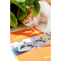 Kedi Dünyası Journal Düz