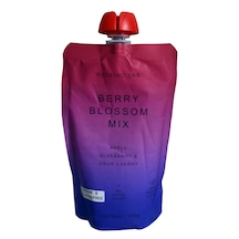Nutrino Lab Berry Blossom Mix Elma Yaban Mersini Vişne Püresi Glütensiz Vegan Şeker İlavesiz Katkısız Sağlıklı Atıştırmalık 180 G