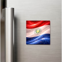 Paraguay Paraguay Abstract Ülke Bayraklı Buzdolap Magneti - 9x9 Cm
