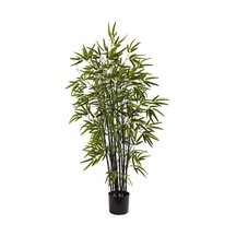 İthal Kara Bambu Tohumu Ekim Seti 3 Tohum +Saksı+Toprak+