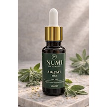 20 ML