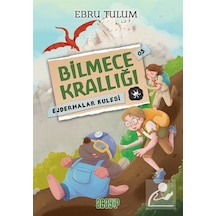 Ejderhalar Kulesi - Bilmece Krallığı 3 - Ebru Tulum - Acayip