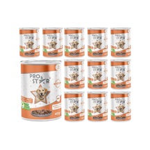 Yetişkin Köpek Somonlu Ve Jöleli Konserve Mama 400 Gr X 12 Adet
