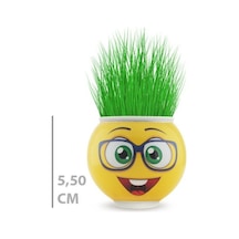 Emoji Figürlü Çim Adam Saksı Masaüstü Çim Yetiştirme Seti, Hazır Tohumlu, Hediye Paketli Çim Adam