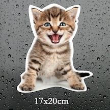 Sevimli Yaramaz Kedi Araba Sticker Etiket 18Cm M6