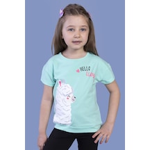 Mint Yeşili