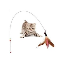 Kedi Oyun Oltası